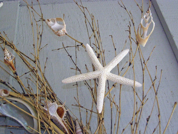 BEACH DECOR SEASHELL Wreath -- "Floating Shells," beach decor, floating starfish