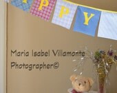 Happy Birthday Bunting Fiesta banner Party 16 flags Garland bunting fabric  ready to ship BB11