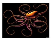 Robot Octopus Lithograph Print