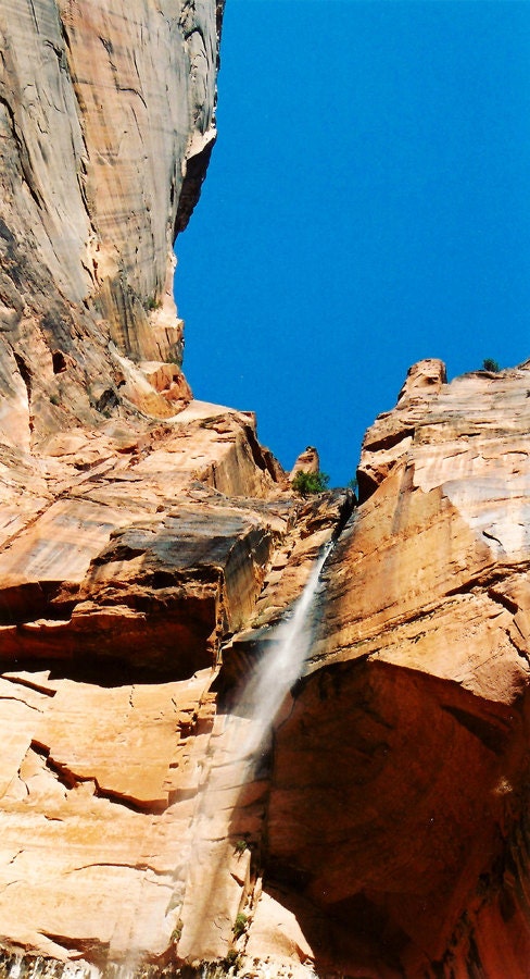 Zion - Fine Art Photograph - 3 foot wall print