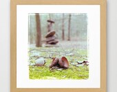 Gather Balance - Fine Art Photography Print - Framed 12 x 12