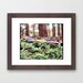 Tiny Tree - Fine Art Photography Print - Framed 12 x 10