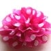 Polka dots fabric flower hot pink and white brooch