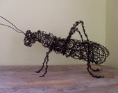 Steel Grasshopper Sculpture