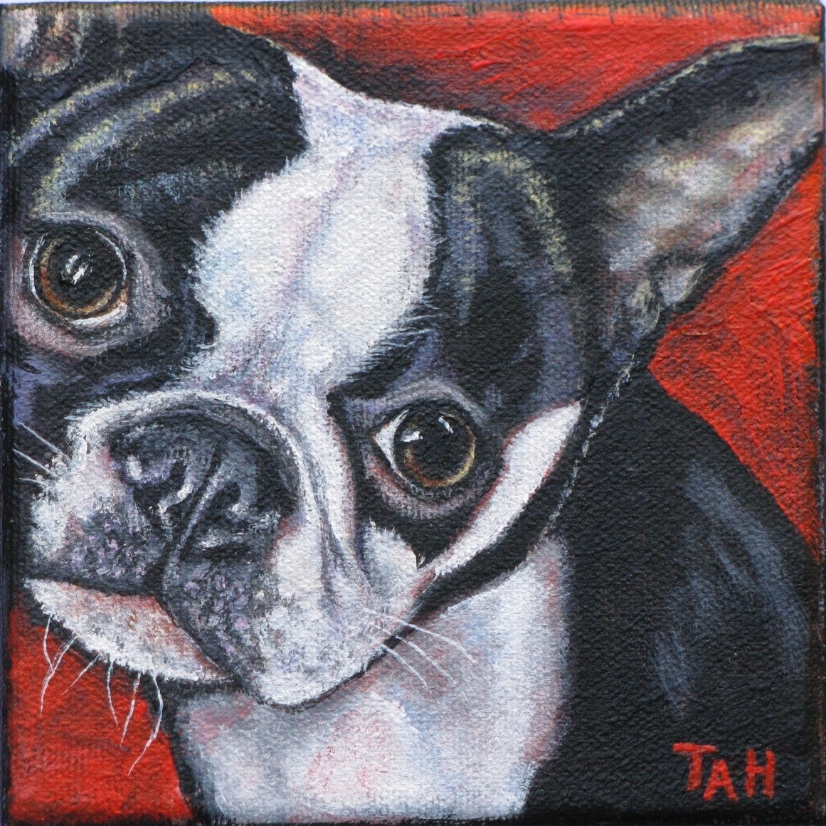 Custom Pet Portrait Boston Terrier