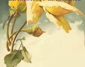 Yellow Rose and Buds Reproduction Cotton Fabric Art Print 2.75X4" Applique