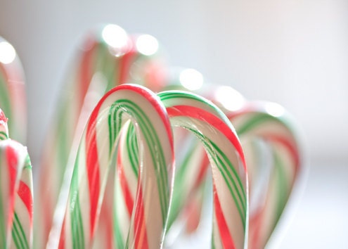 Christmas Photography winter food under 25 december candy canes children kitchen home decor wall art stripes colorful green red holidays