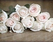 Spring Pink Shabby Chic romantic winter faded pale texture roses flowers photograph - Is This Love - 8x12 Fine Art Photography Print