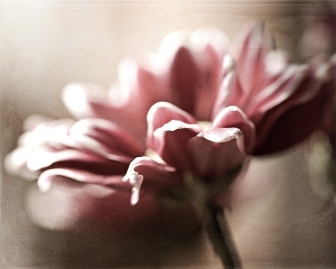 Glowing Beauty - 8x10 Fine Art Print