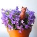 Plant Water Feeder - Cat