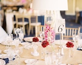 Elegance - Table Numbers