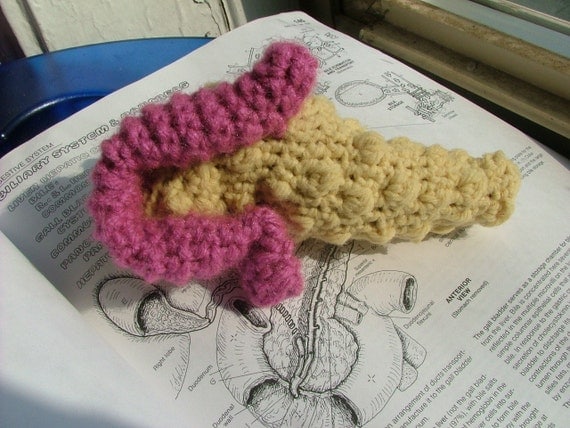 plush pancreas