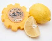 Vegan Organic No-Bottle Shampoo Bar with Massive Suds 6 oz -- Made In The Heartland -- 5 Bars with Free Domestic Shipping