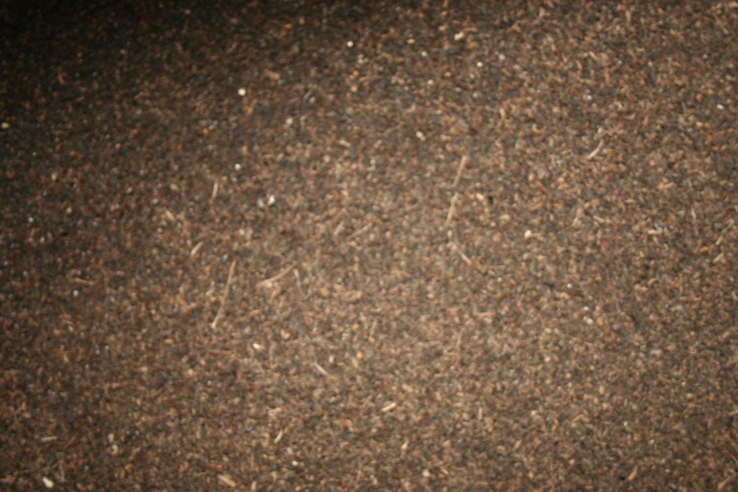 Worm Castings 1 pound bag