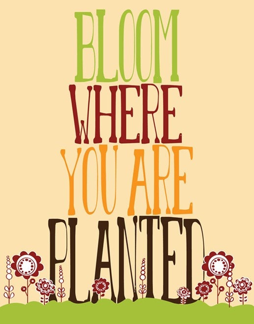 Motivational Quote Wall Hanging, Botanical Poster "Bloom Where You Are Planted" Botanical Typography Print Art, Inspiring Saying Wall Decor
