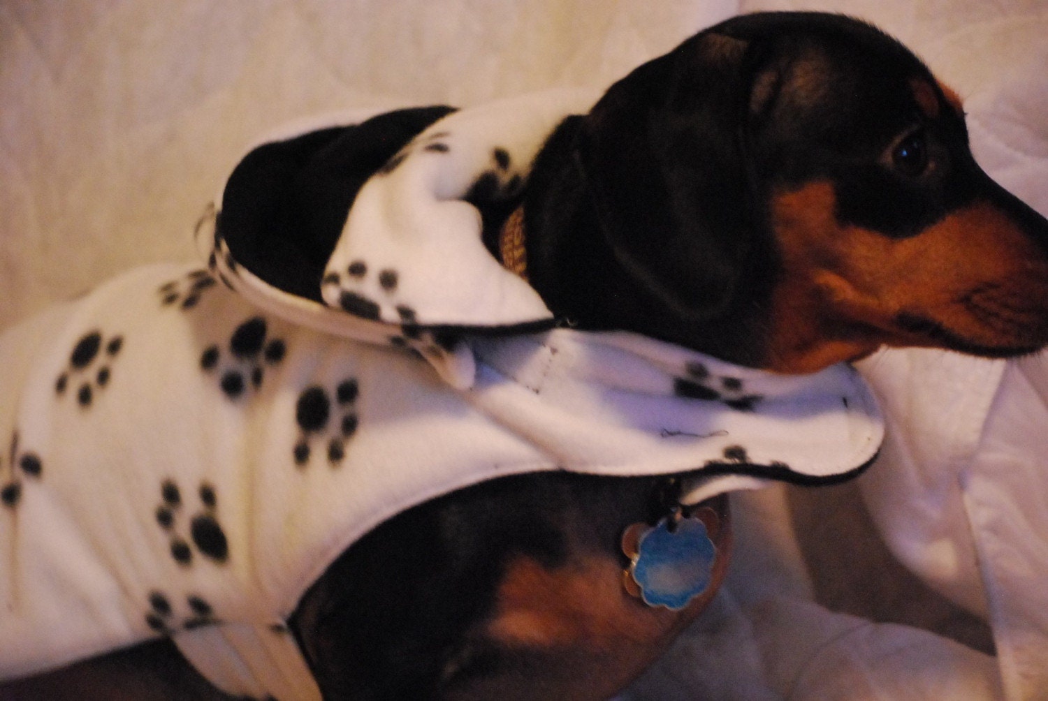 Fleece paw print black on white custom sizes