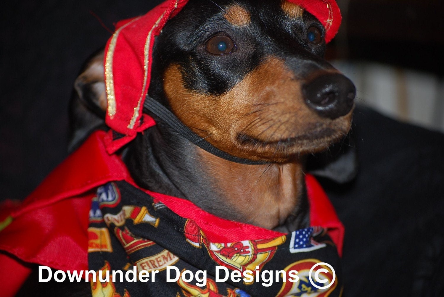 Fire Fighter 3 piece outfit custom sizes As Seen in Wiener Dog Nationals the Movie