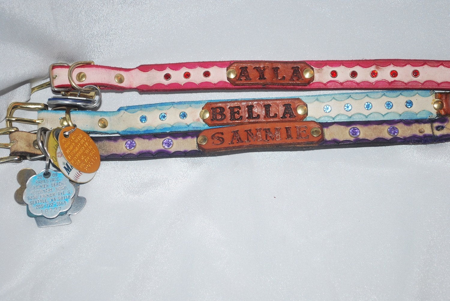 Custom Dog collars with you dogs name on it.