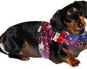 The Lucky Star harness vest set 5 sizes xxxsmall to medium custom sizes for larger dogs