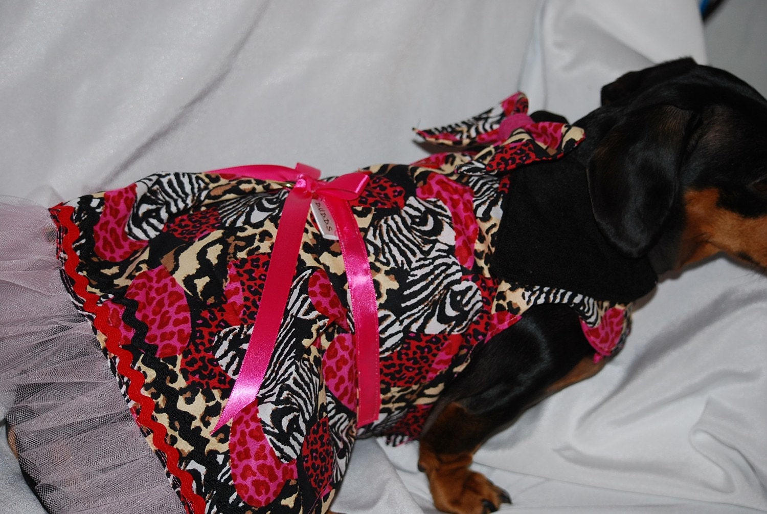 dog or cat dress valentines heart harness
