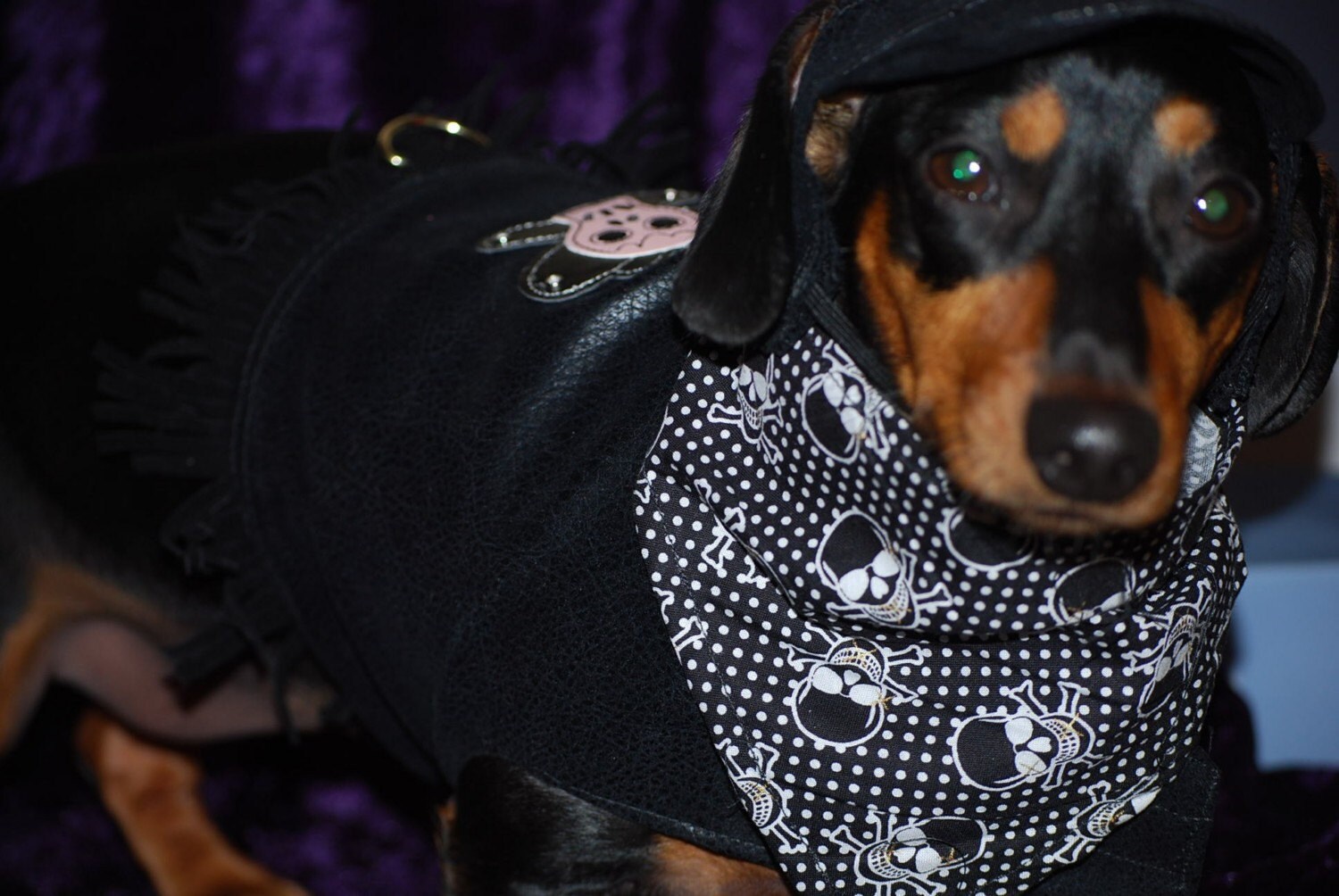 Female Biker Costume