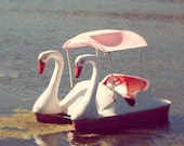 Swan Lake, love, romantic, print, valentine, pink, white, paddle boat, teal, water, deep blue, fine art photograph 8"x8"