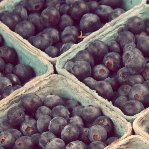 Blue Berry Alaska, whimsical, farmers market, fruit, fresh, simple, purple, teal, turquoise, fine art photograph 8"x8"