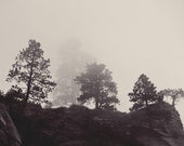 Nature, Landscape print, Zion National Park, angels landing, black, white, forest, trees, stone, fine art photograph 5"x7"