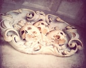 Skull, skulls, halloween, architecture, detail, spooky, epitaph, dead, gothic, bone, white, scary, fine art photograph 8"x10"