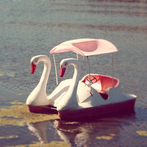 Swan Lake, love, romantic, print, valentine, pink, white, paddle boat, teal, water, deep blue, fine art photograph 8"x8"