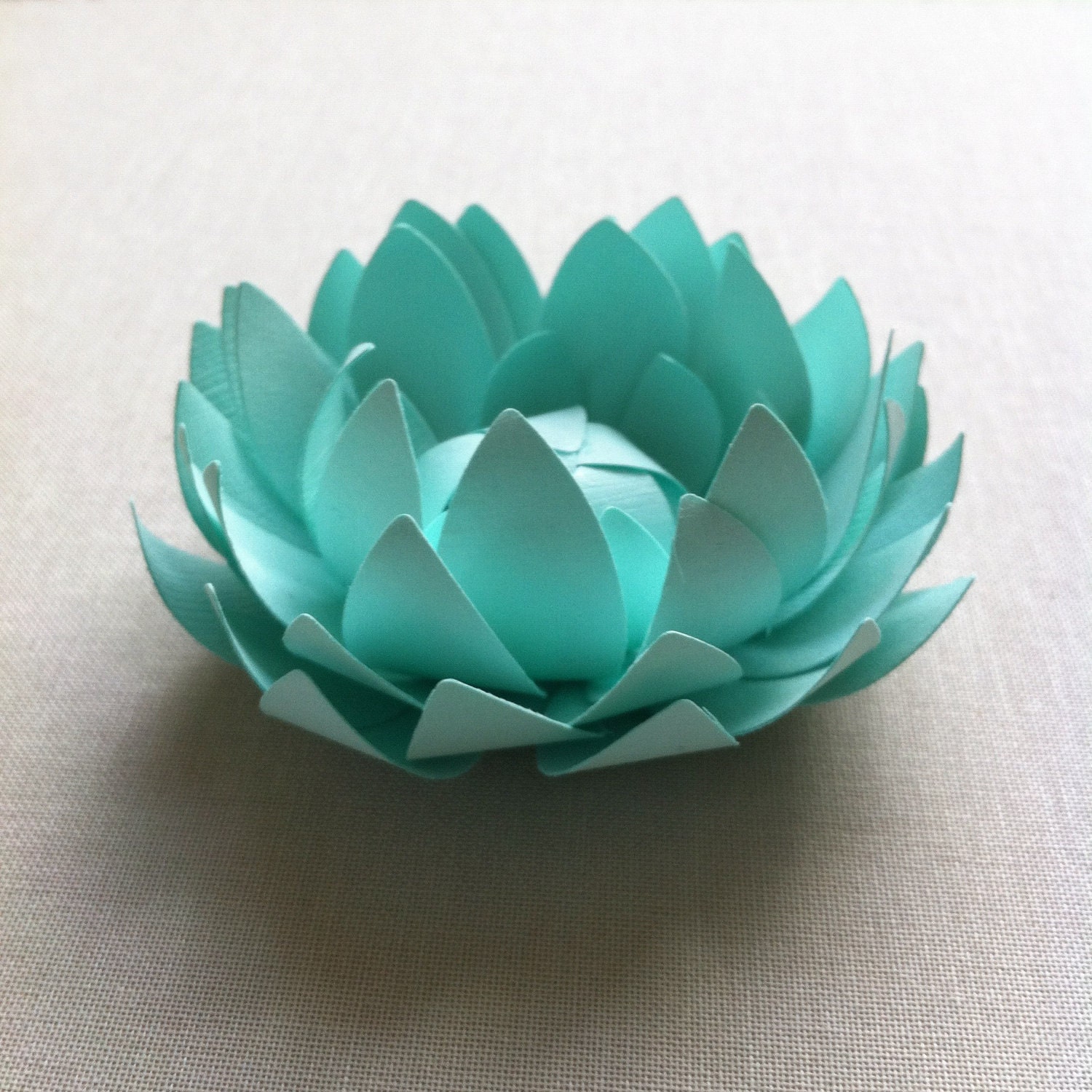 Mint/ paper lotus.  Home decor, office decor, party decor.  Place settings, name cards,