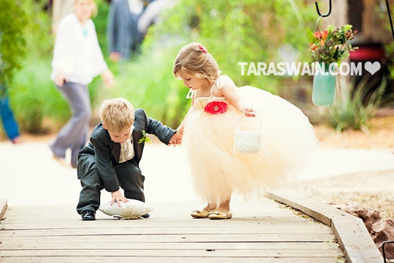 Champagne Tutu Dress - 18-24m, 2t, 3t, or 4t