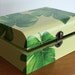 Monstera Plant Box