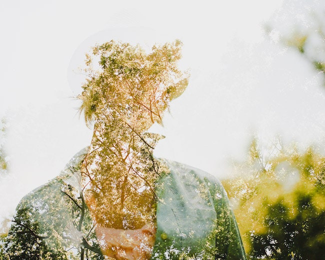 Grow - 8x10 120/medium format print