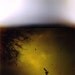 Underwater - 5x5 print