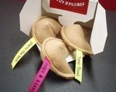 Fortune Cookie Cat Nip Toy - box of 3 - As Featured In ANIMAL PLANET'S Must Love Cats Premiere Episode