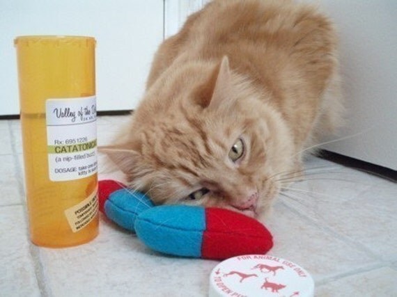 Catatonica - pill shaped cat nip toy