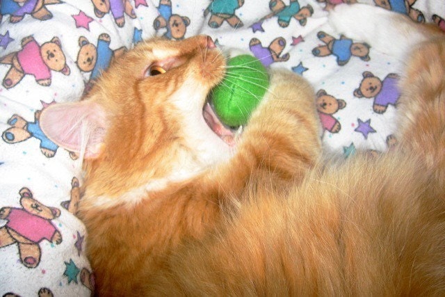 Pea Paw'd - cat nip pea pod toy
