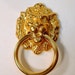 Set of 6 Solid Brass Lion Head Drawer Pulls