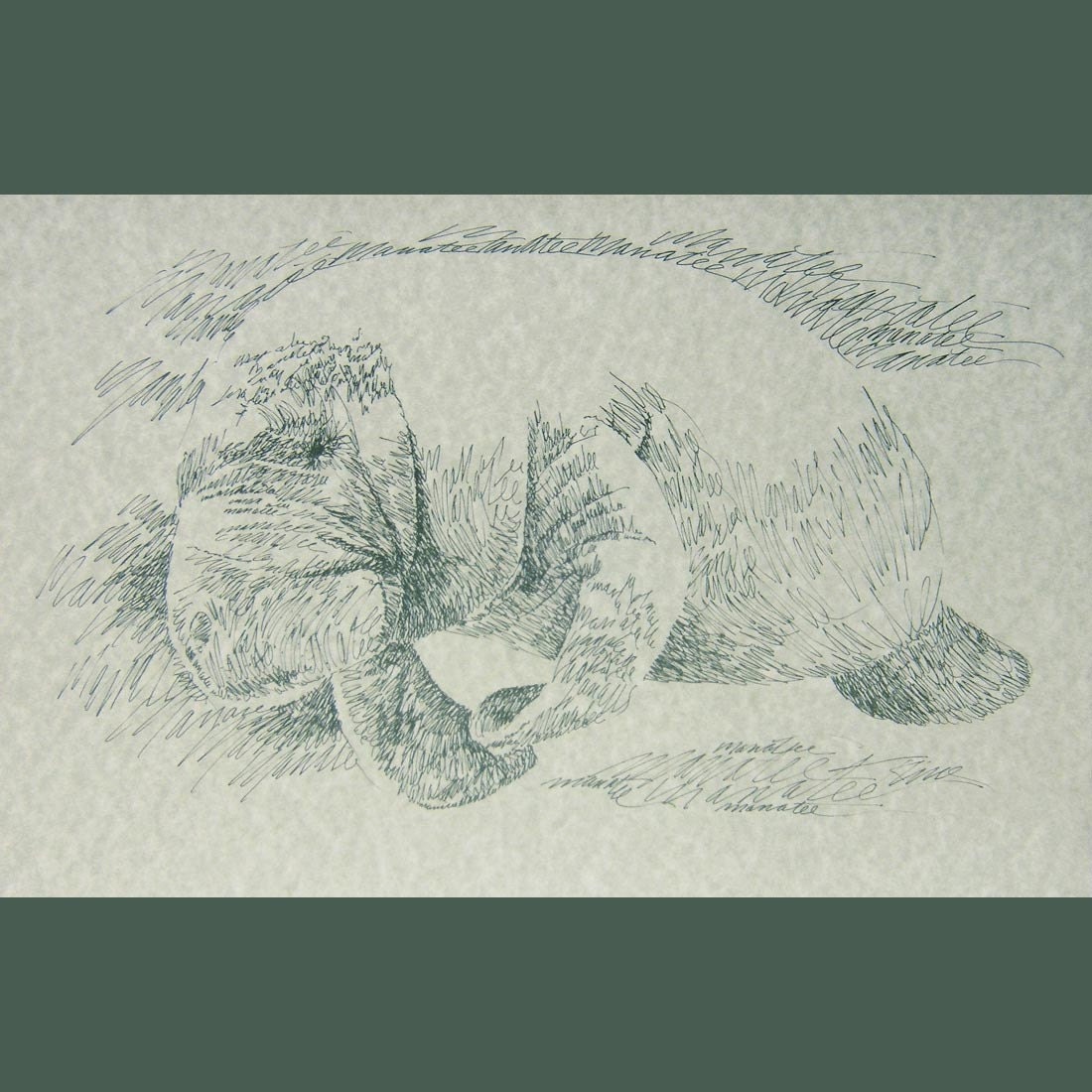 Manatee - Artist Kline draws the Flordia Manatee art using only words. Signed 11x17 Lithograph