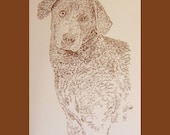 Chesapeake Bay Retriever - Artist Kline draws his dog art using only words. Signed 11x17 Lithograph 62/500 - Artist Adds Your Dogs Name Free