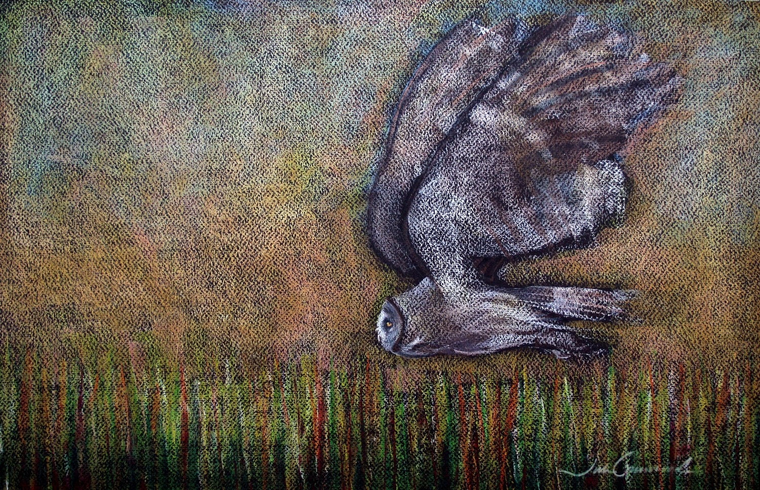 Great Grey Owl in Flight  Original Drawing