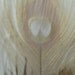 Ivory Peacock Feathers - Bleached - 1 dozen  - 12 Feathers 10 to 15 inches Wedding Feathers