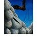Signed Art Print, Bat Stitching Pods