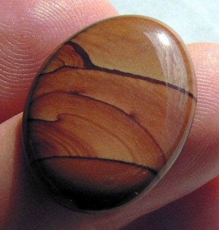 Choice Cripple Creek Picture Jasper cabochon