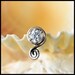 Swirl Nose Stud / Nose Screw  - L or Screw End