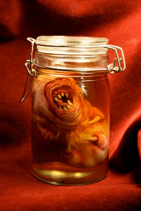 Chattergrub