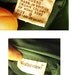 Emerald Silk - Retro Secretary Blouse