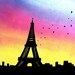 SaLe ORIGINAL Large Modern Fine Art Contemporary PAINTING by Shanna - HUGE 60 x 24 - Birds Flying in Paris