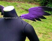 Mini Angel Wings (or Pegasus Wings)